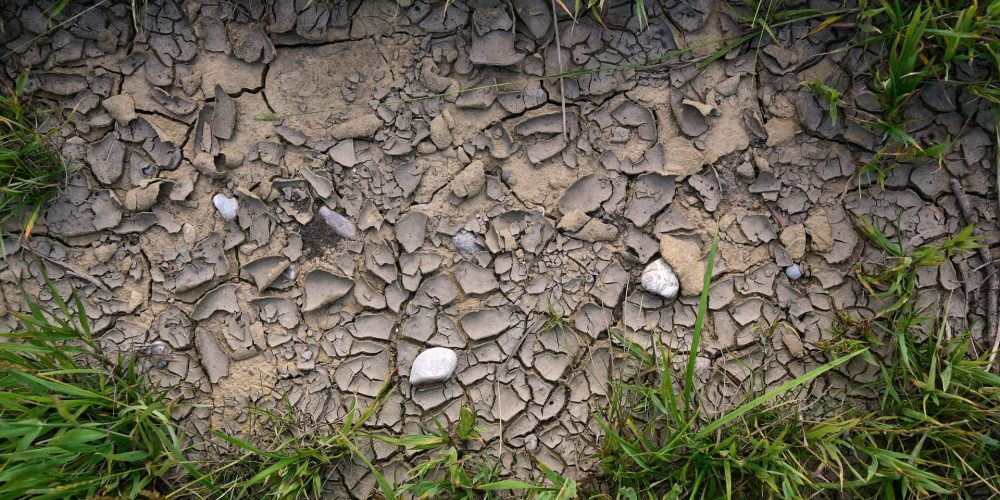 terre craquée par le manque d'eau entourée d'herbes verte : pour symboliser la sécheresse